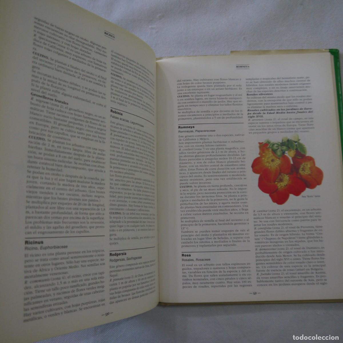 Libros de segunda mano: EL GRAN LIBRO DE LA JARDINER&Iacute;A - EDITORIAL EVEST - Foto 14
