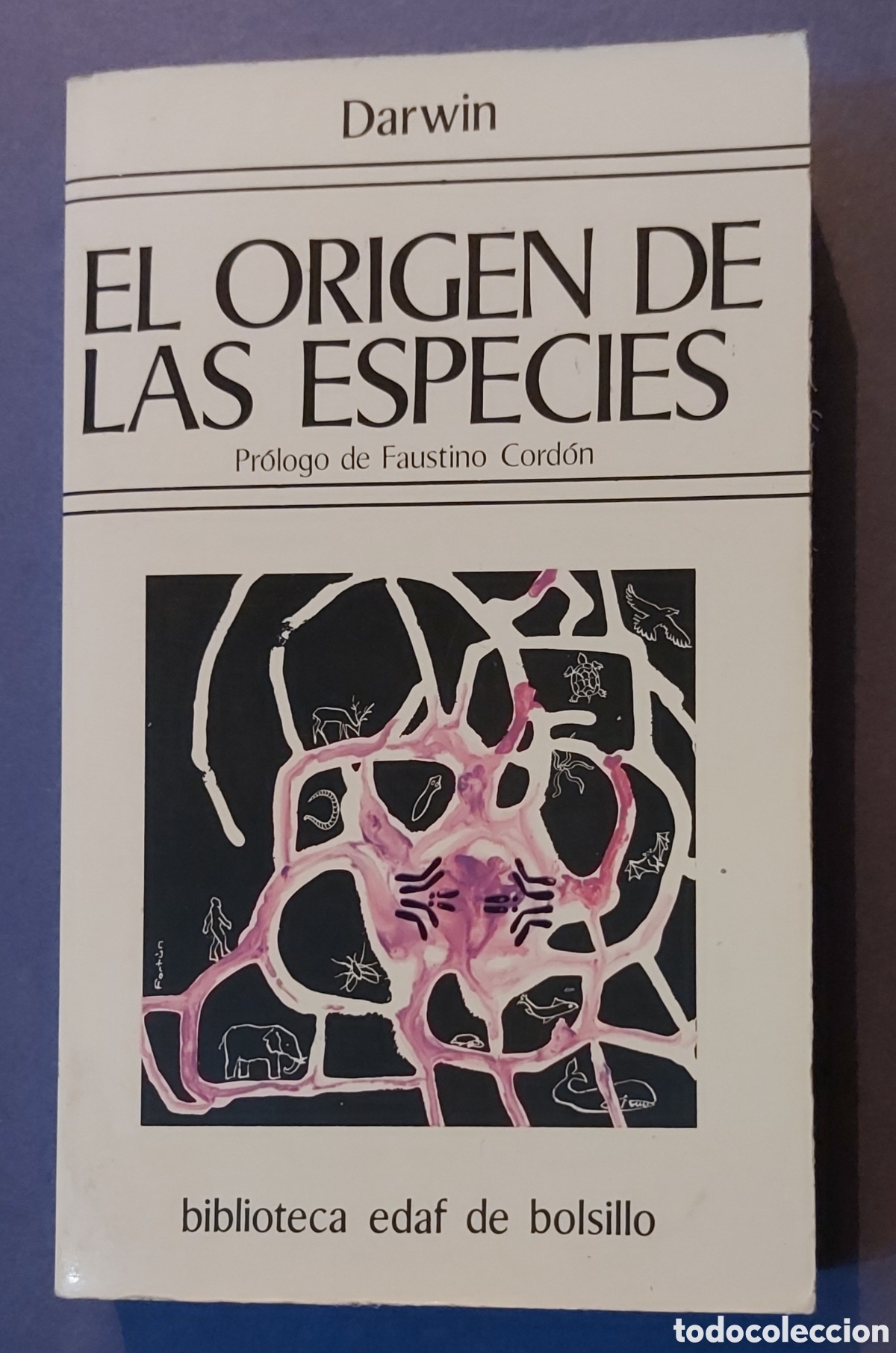 Libros de segunda mano: El origen de las especies de Darwin, 1987. Biblioteca EDAF de Bolsillo 38 - Foto 1