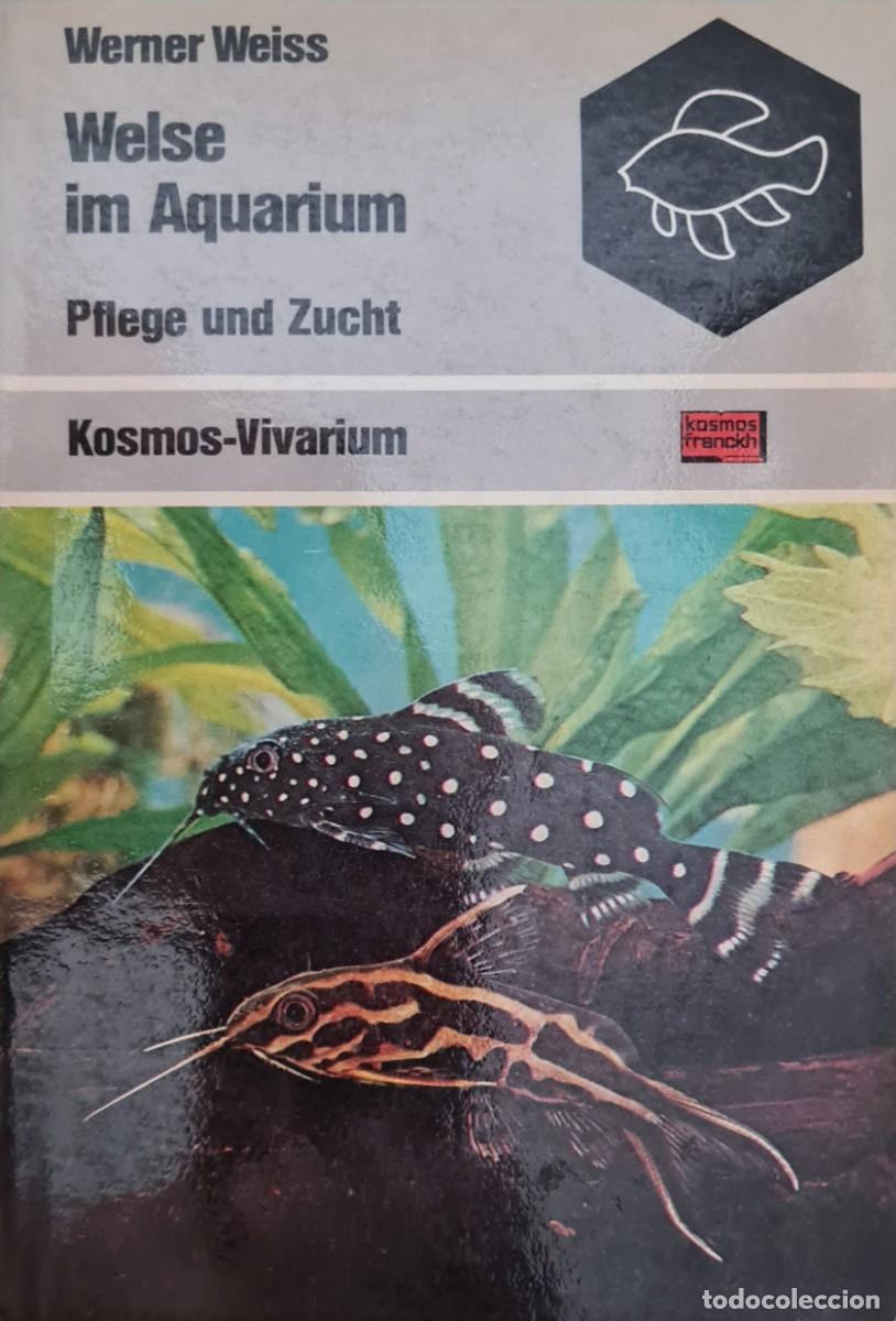 Libros de segunda mano: Welse im Aquarium, por Werner Weiss, 1979 - Foto 1