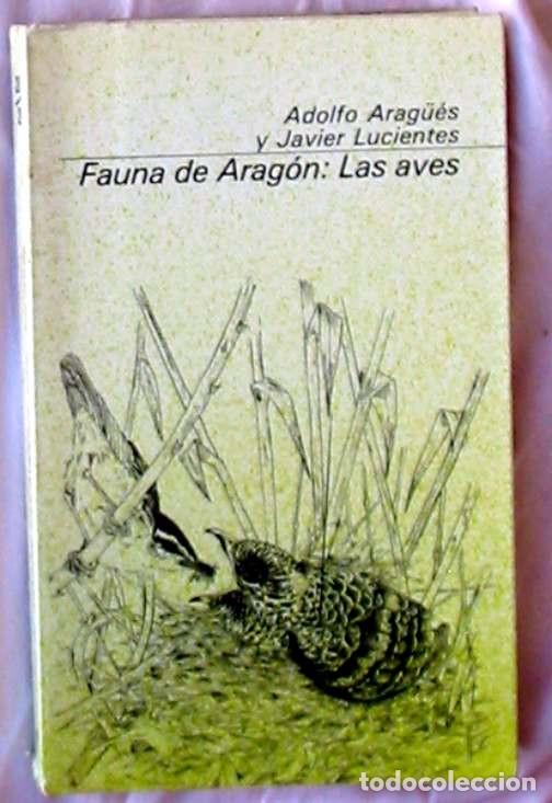 Libros de segunda mano: FAUNA DE ARAG&Oacute;N / LAS AVES - ADOLFO ARAGUES Y JAVIER LUCIENTES - VER INDICES - Foto 1