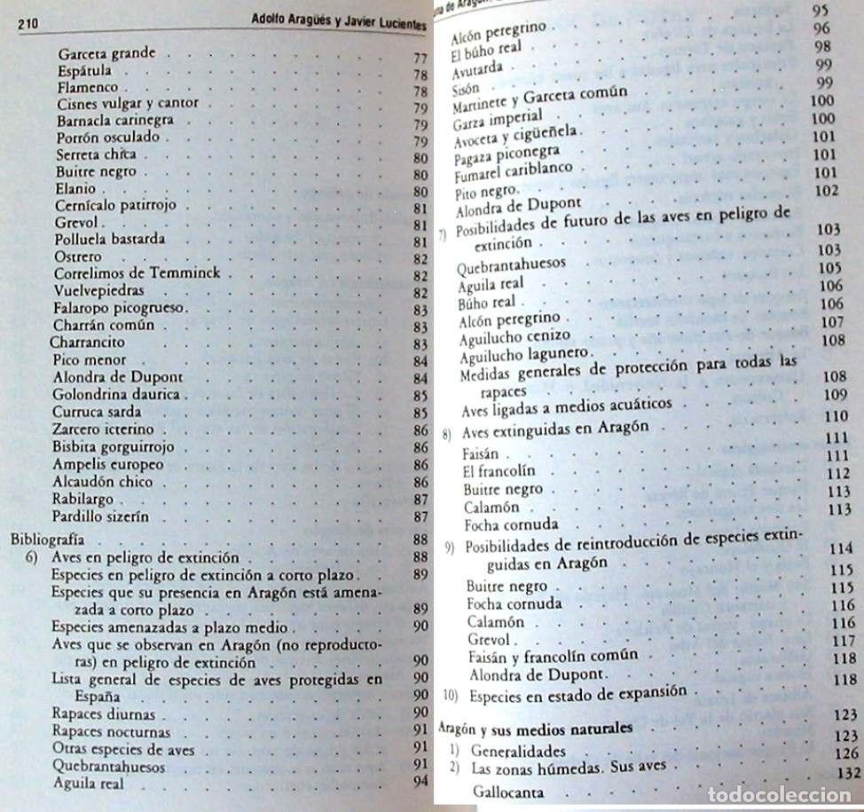 Libros de segunda mano: FAUNA DE ARAG&Oacute;N / LAS AVES - ADOLFO ARAGUES Y JAVIER LUCIENTES - VER INDICES - Foto 3