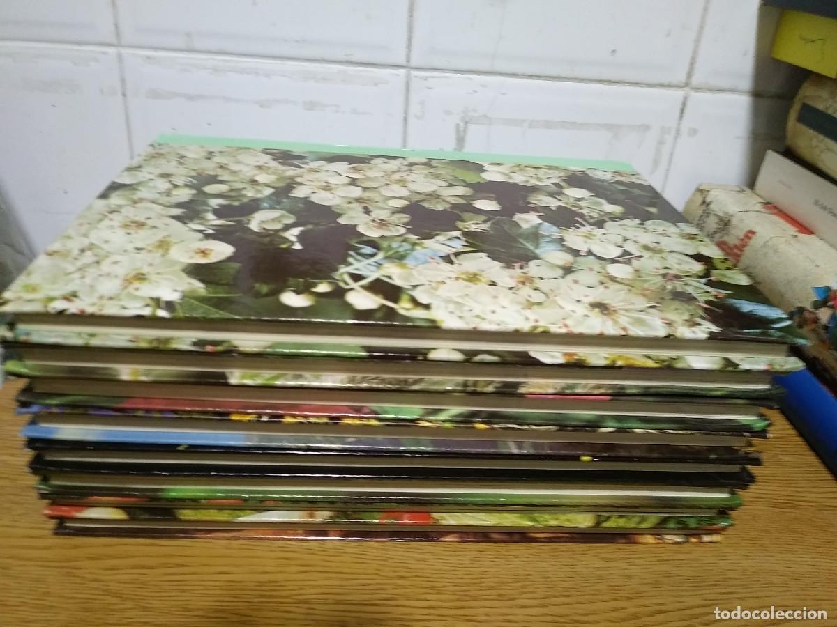 Libros de segunda mano: LAS PLANTAS NUESTRAS AMIGAS 8 TOMOS. - Foto 2