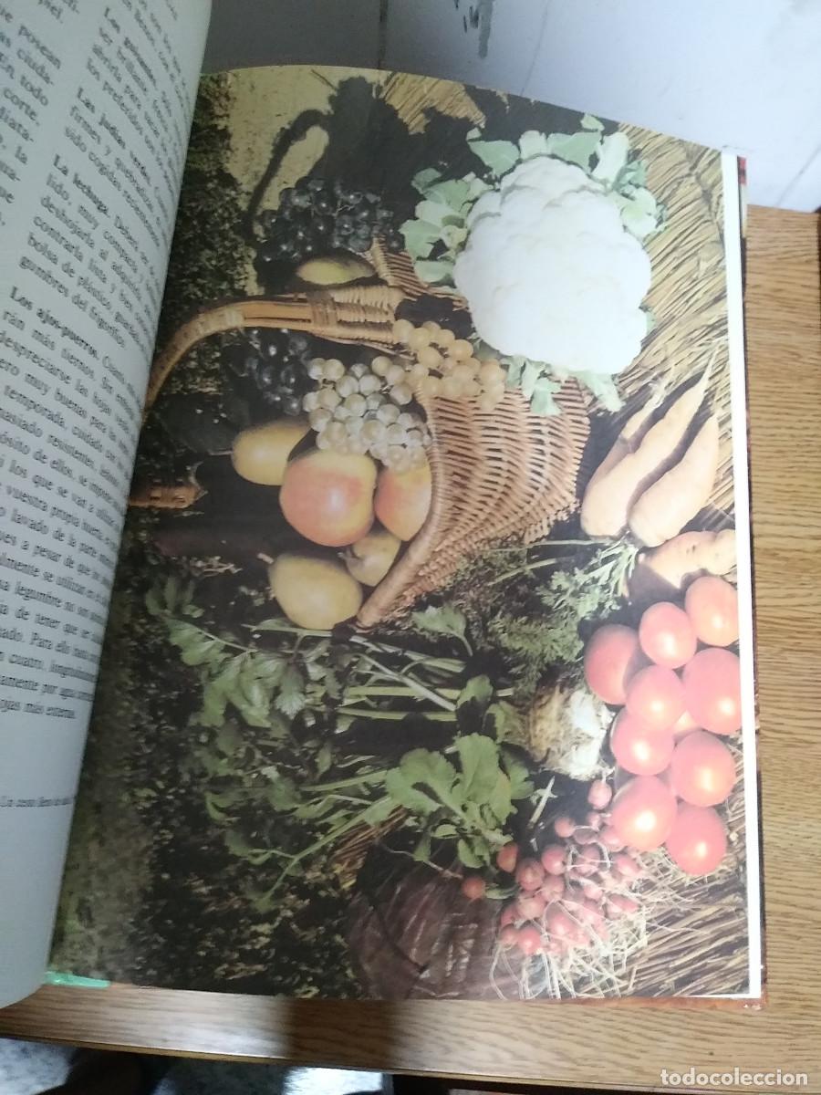 Libros de segunda mano: LAS PLANTAS NUESTRAS AMIGAS 8 TOMOS. - Foto 3