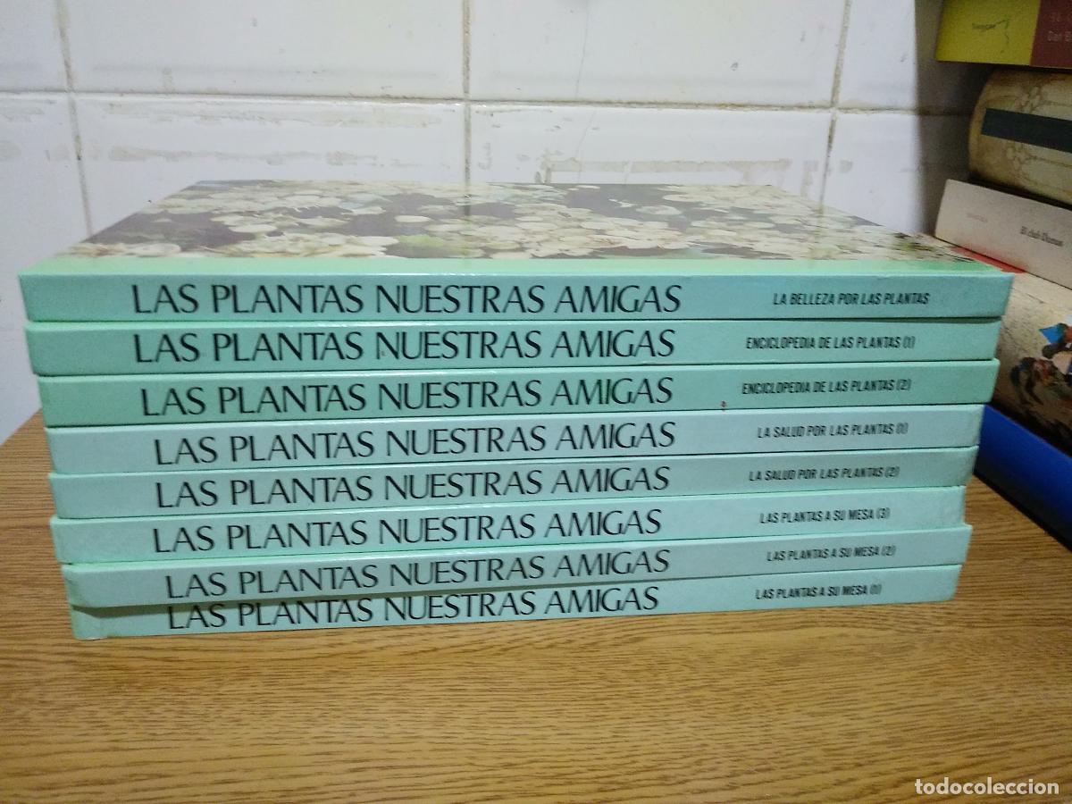 Libros de segunda mano: LAS PLANTAS NUESTRAS AMIGAS 8 TOMOS. - Foto 1