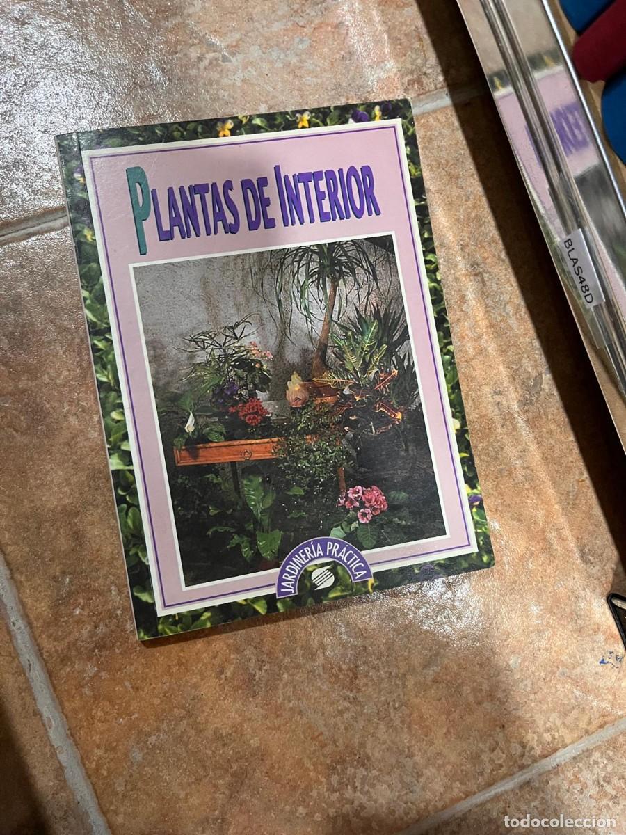 Libros de segunda mano: BLAS48D PLANTAS DE INTERIOR, JARDINERIA PRACTICA - Foto 1