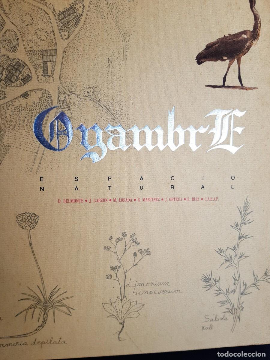Libros de segunda mano: Oyambre, espacio natural - Belmonte, Garzon CANTABRIA - Foto 1