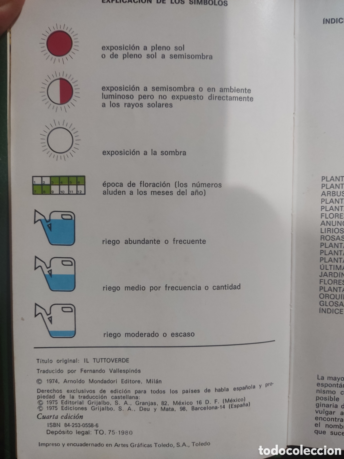 Libros de segunda mano: Gu&iacute;a de plantas y flores - Foto 2