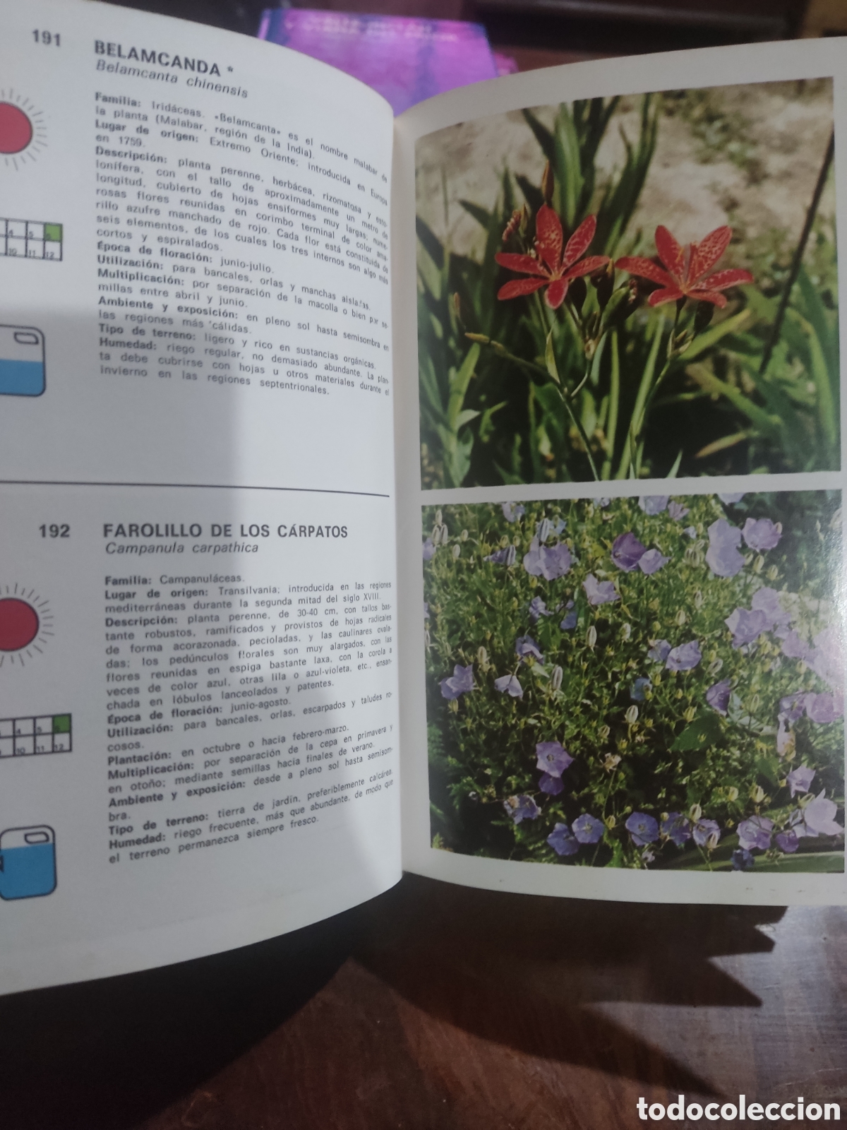 Libros de segunda mano: Gu&iacute;a de plantas y flores - Foto 4