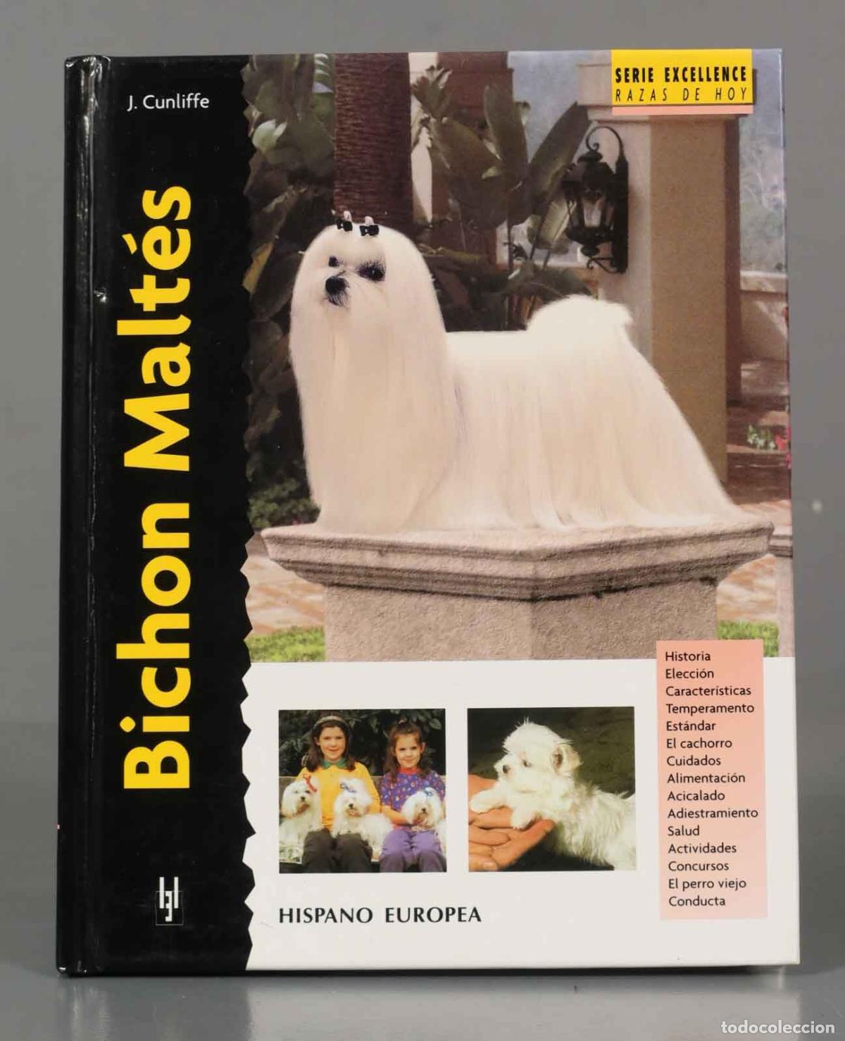 Libros de segunda mano: Bichon Malt&eacute;s Juliette Cunliffe - Foto 1