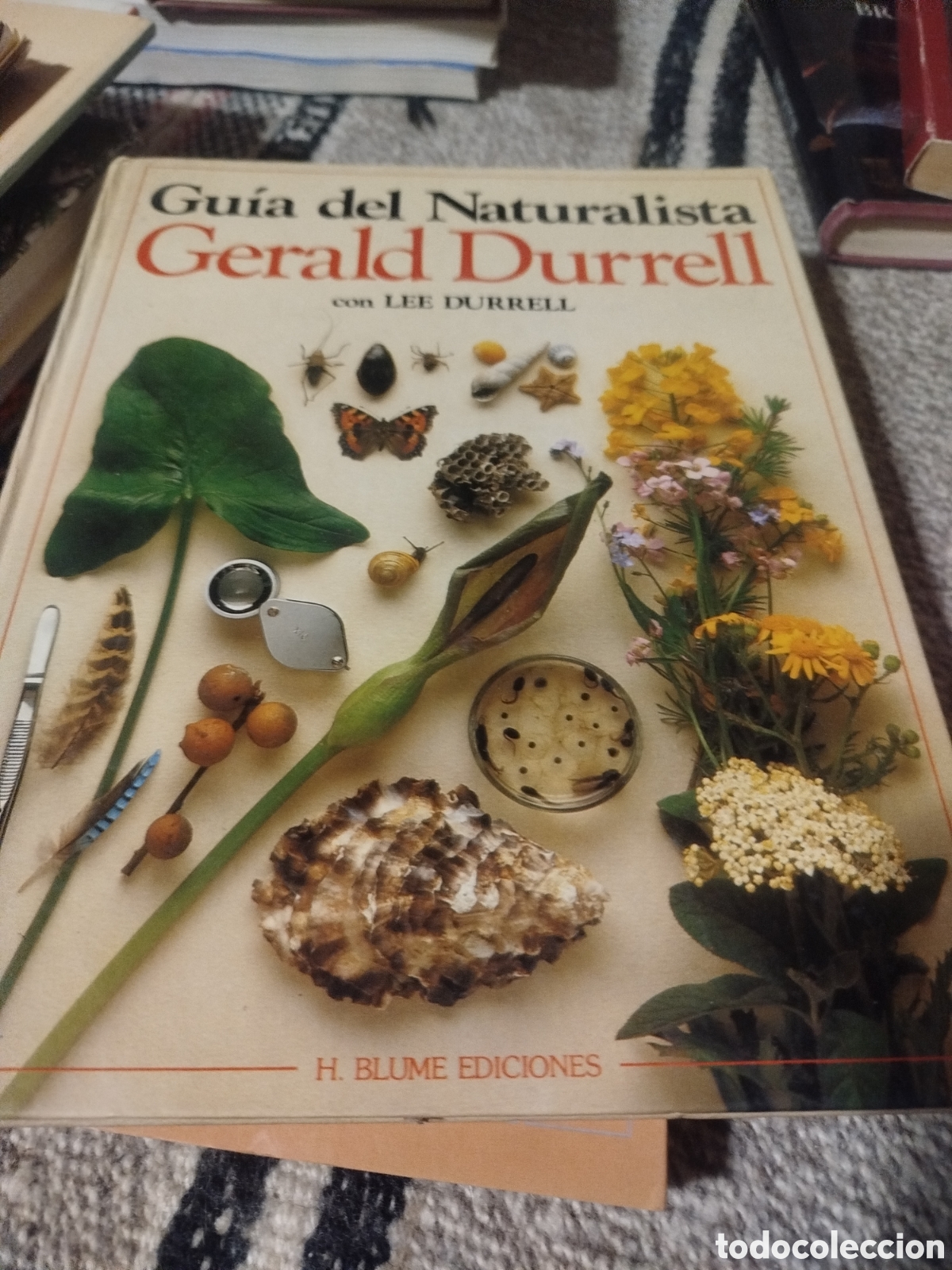 Libros de segunda mano: Gu&iacute;a del naturalista - Foto 1