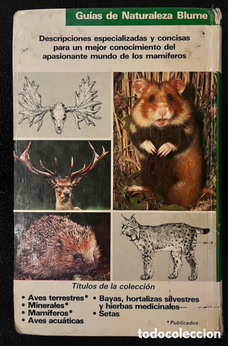 Libros de segunda mano: Libro Guia Mamiferos Naturaleza Blume - Foto 2