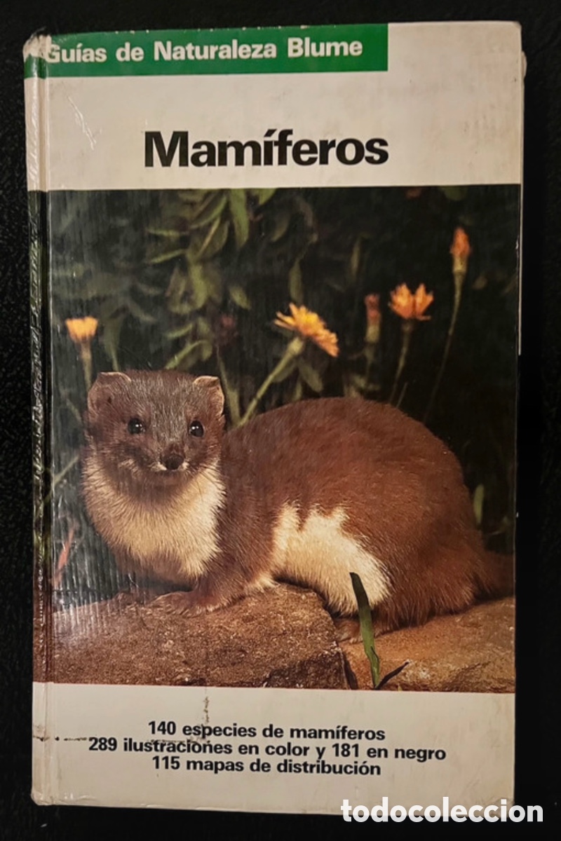 Libros de segunda mano: Libro Guia Mamiferos Naturaleza Blume - Foto 1