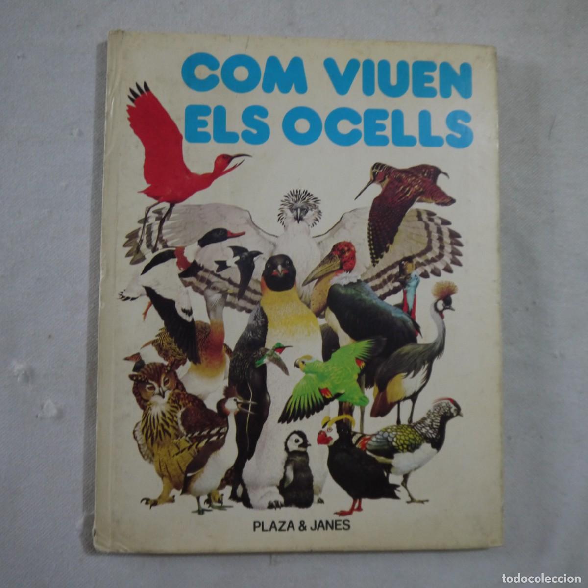 Libros de segunda mano: COM VIUEN ELS OCELLS - PLAZA & JANES - Foto 1