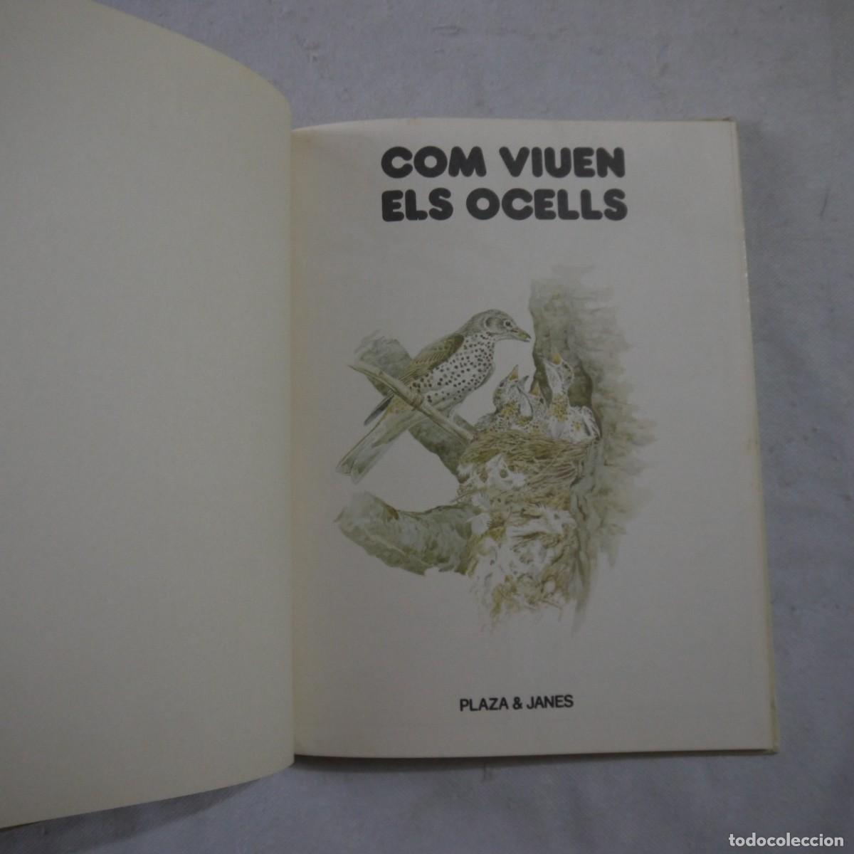 Libros de segunda mano: COM VIUEN ELS OCELLS - PLAZA & JANES - Foto 3