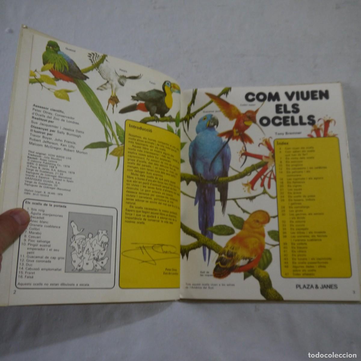 Libros de segunda mano: COM VIUEN ELS OCELLS - PLAZA & JANES - Foto 4