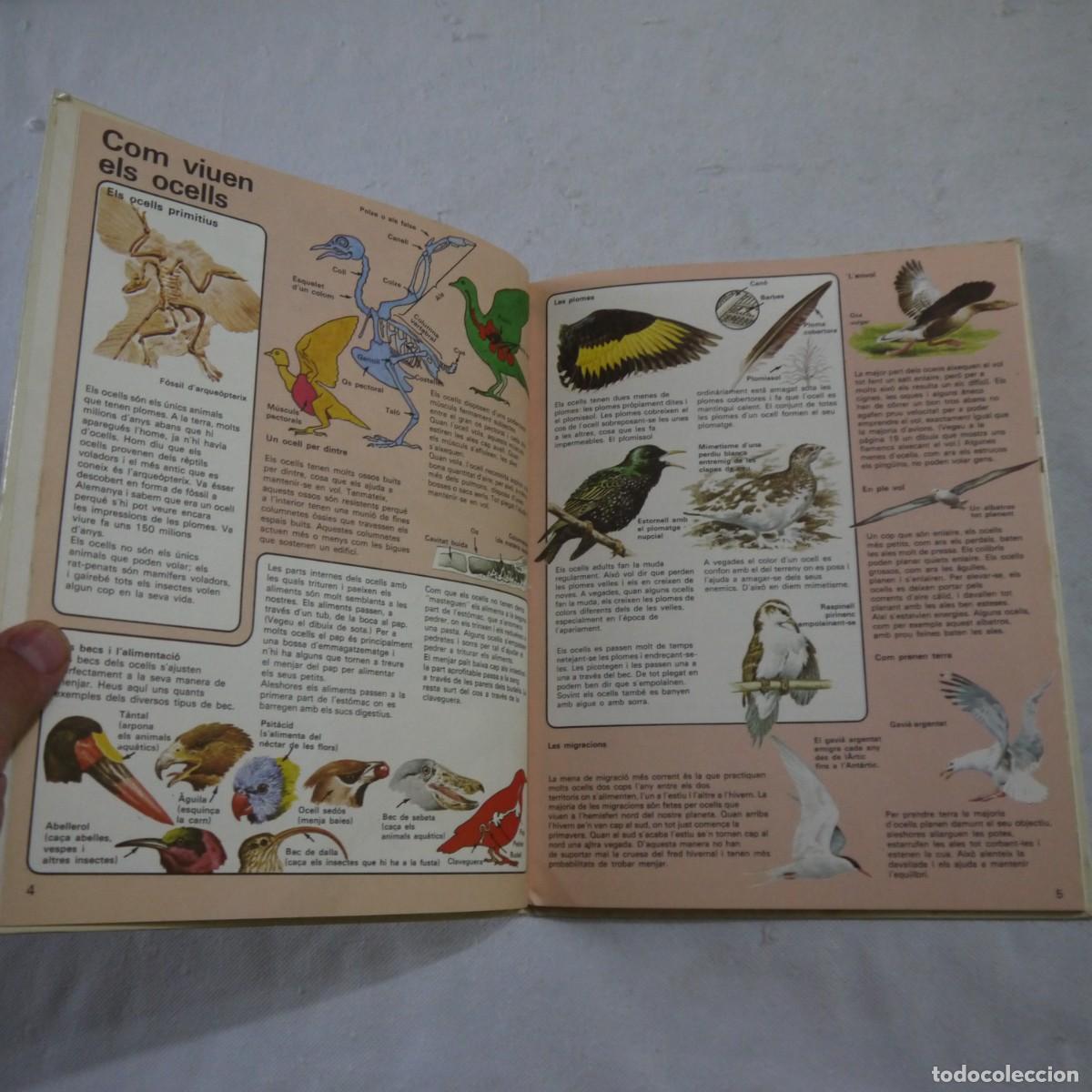 Libros de segunda mano: COM VIUEN ELS OCELLS - PLAZA & JANES - Foto 5