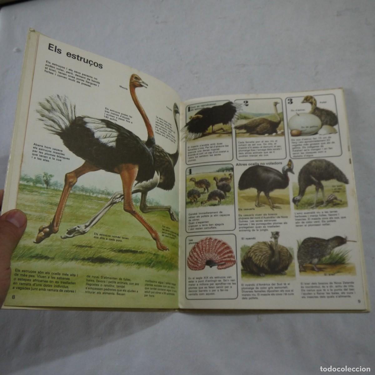 Libros de segunda mano: COM VIUEN ELS OCELLS - PLAZA & JANES - Foto 6