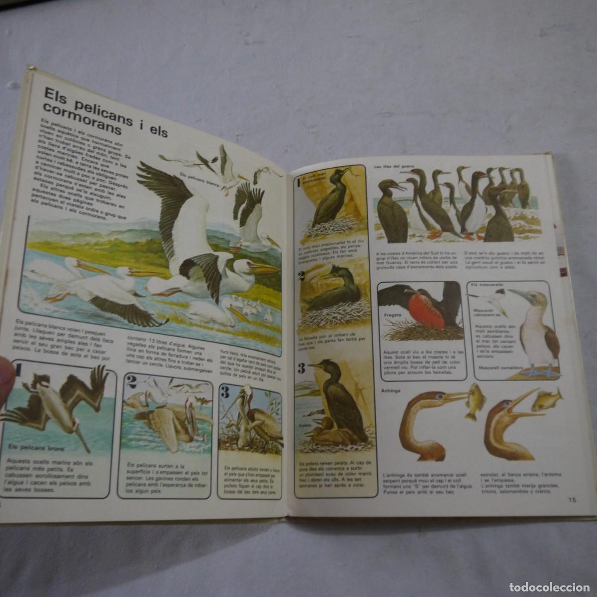 Libros de segunda mano: COM VIUEN ELS OCELLS - PLAZA & JANES - Foto 7