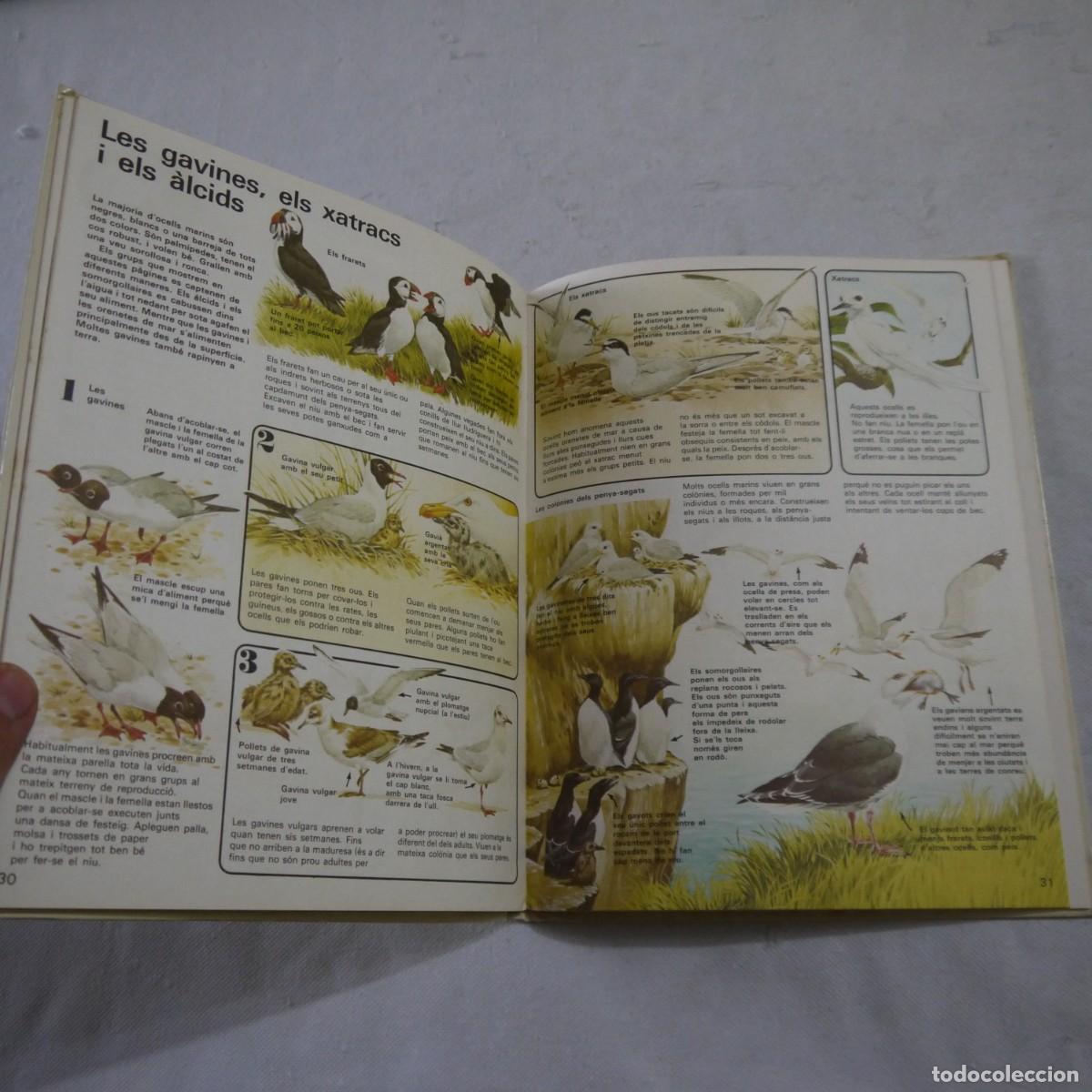 Libros de segunda mano: COM VIUEN ELS OCELLS - PLAZA & JANES - Foto 9