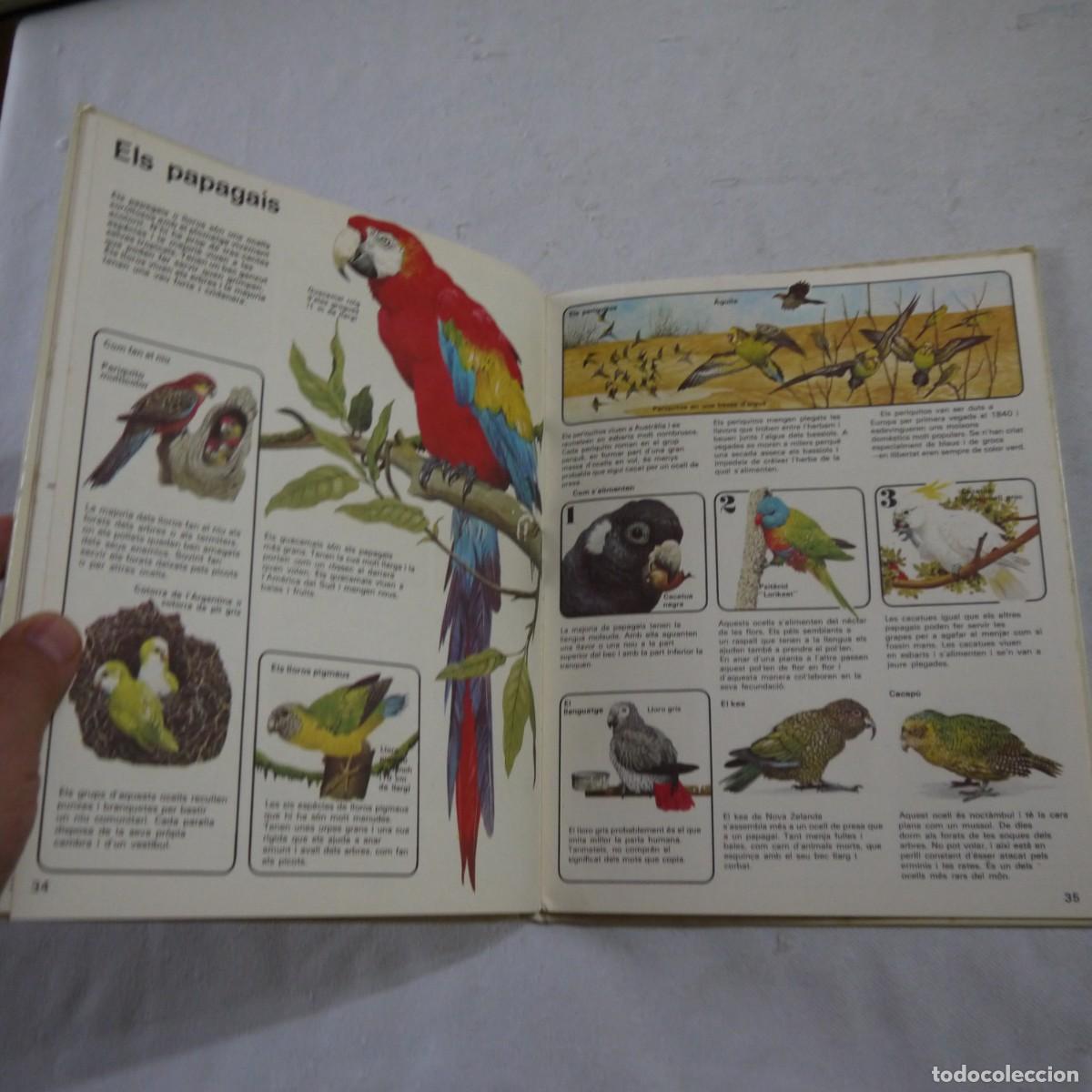 Libros de segunda mano: COM VIUEN ELS OCELLS - PLAZA & JANES - Foto 10
