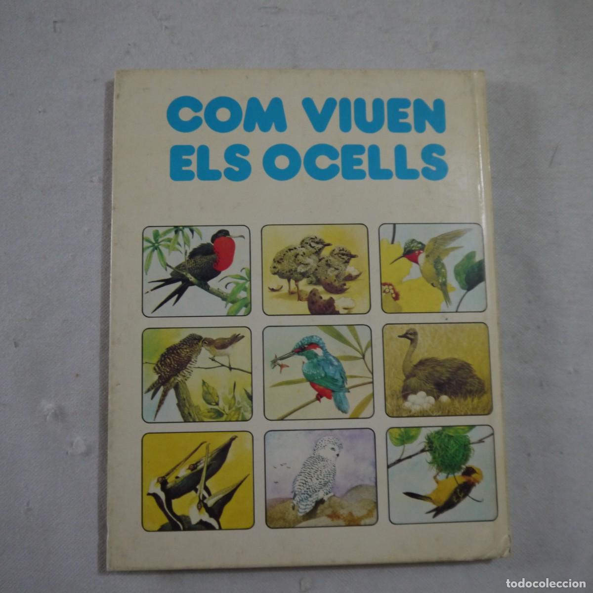 Libros de segunda mano: COM VIUEN ELS OCELLS - PLAZA & JANES - Foto 14