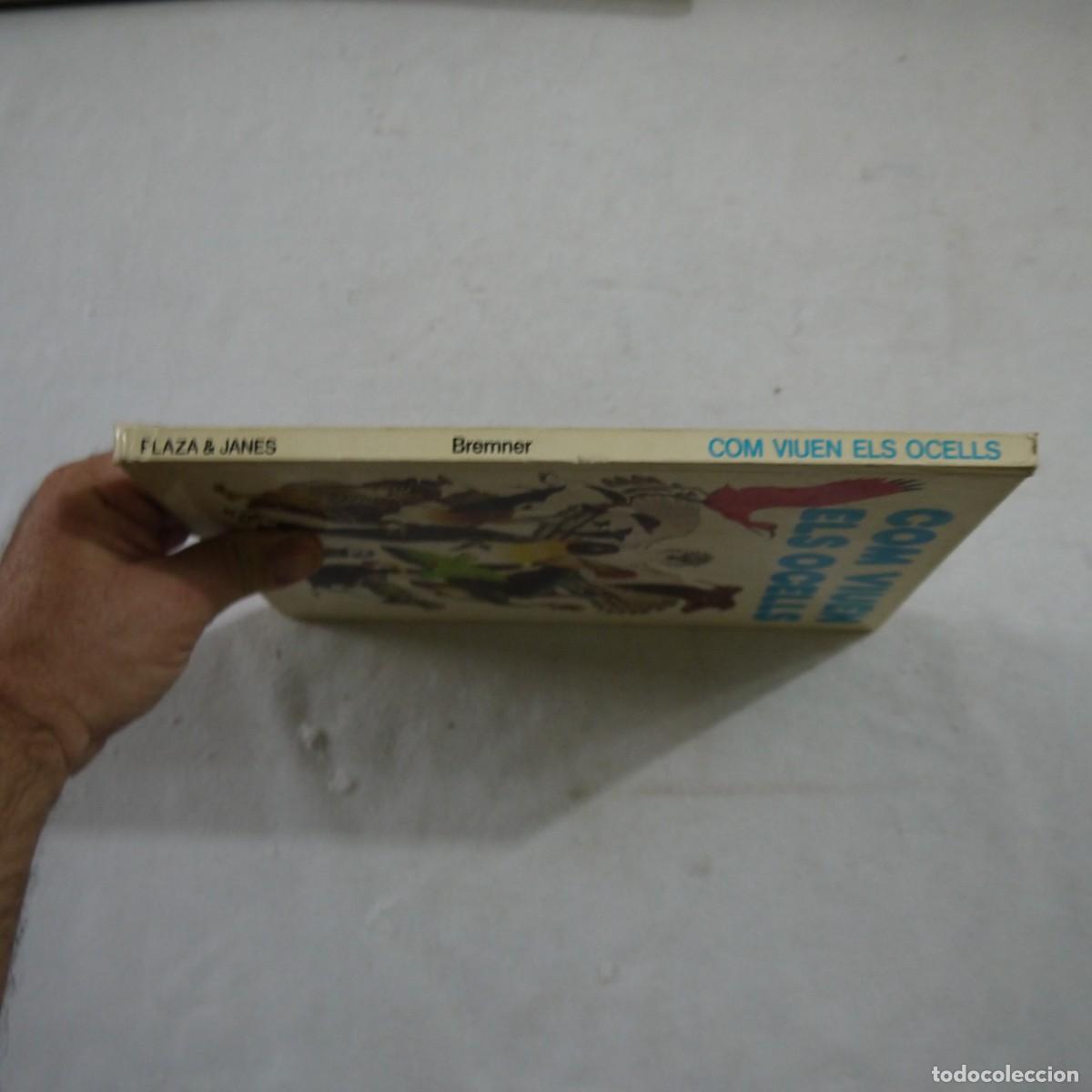 Libros de segunda mano: COM VIUEN ELS OCELLS - PLAZA & JANES - Foto 15