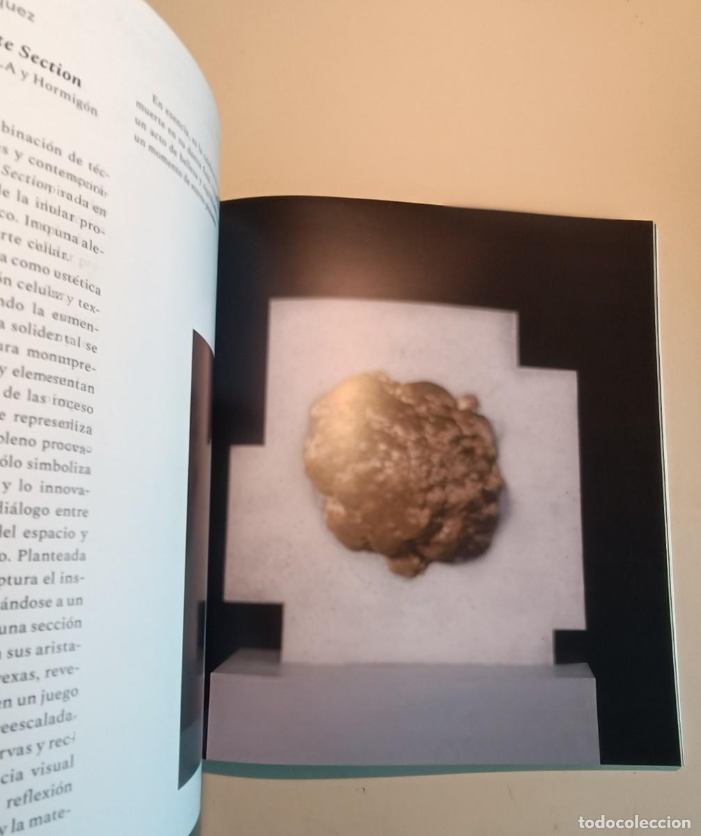 Libros de segunda mano de ciencias: La exposici&oacute;n La inmolaci&oacute;n de las c&eacute;lulas - Foto 7