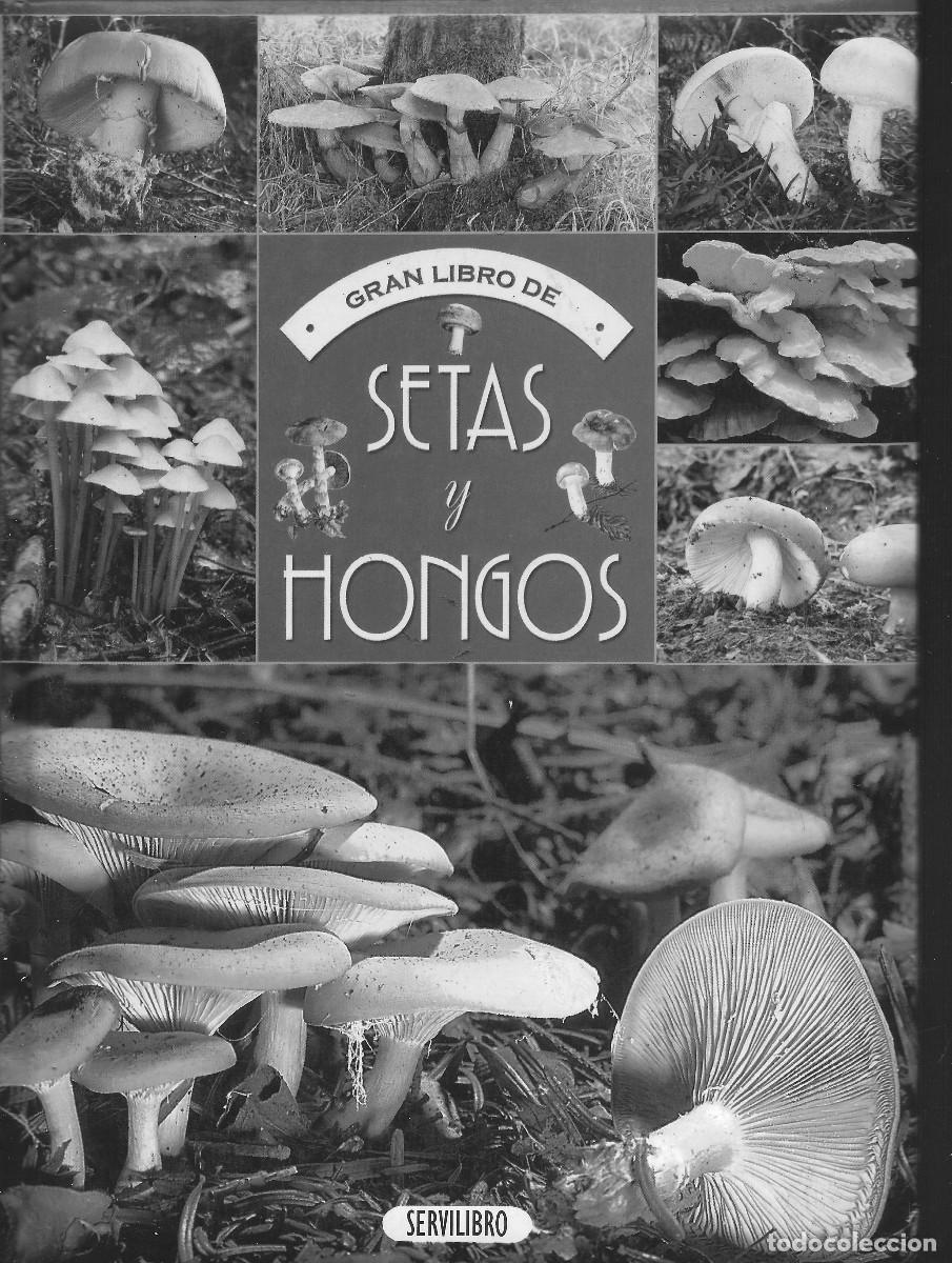 Libros de segunda mano: gran libro de setas y hongo. - Foto 1