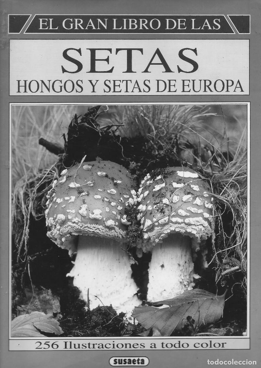 Libros de segunda mano: El gran libro de setas y hongos de Europa. - Foto 1