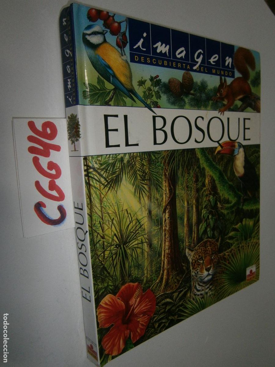 Libros de segunda mano: IMAGEN - EL BOSQUE --- - Foto 1