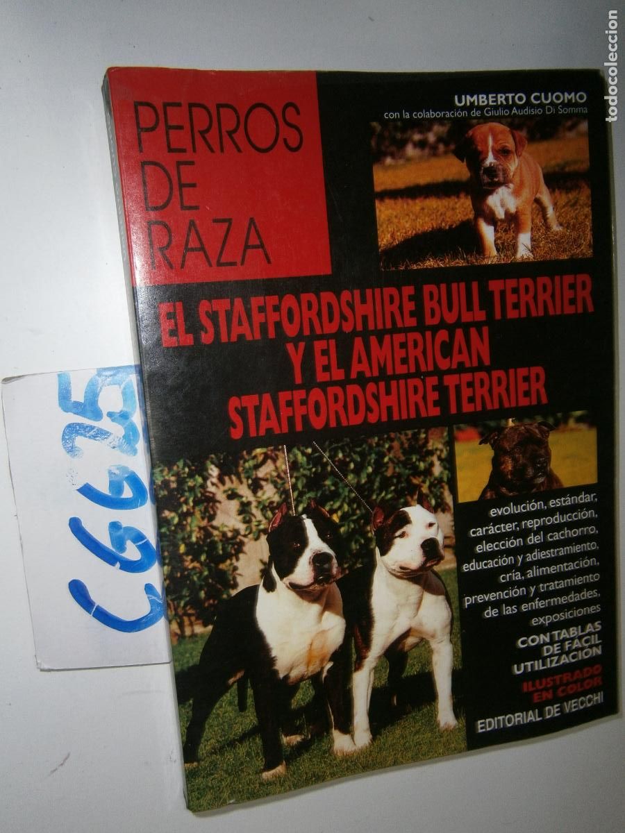 Libros de segunda mano: --- PERROS DE RAZA --- - Foto 1