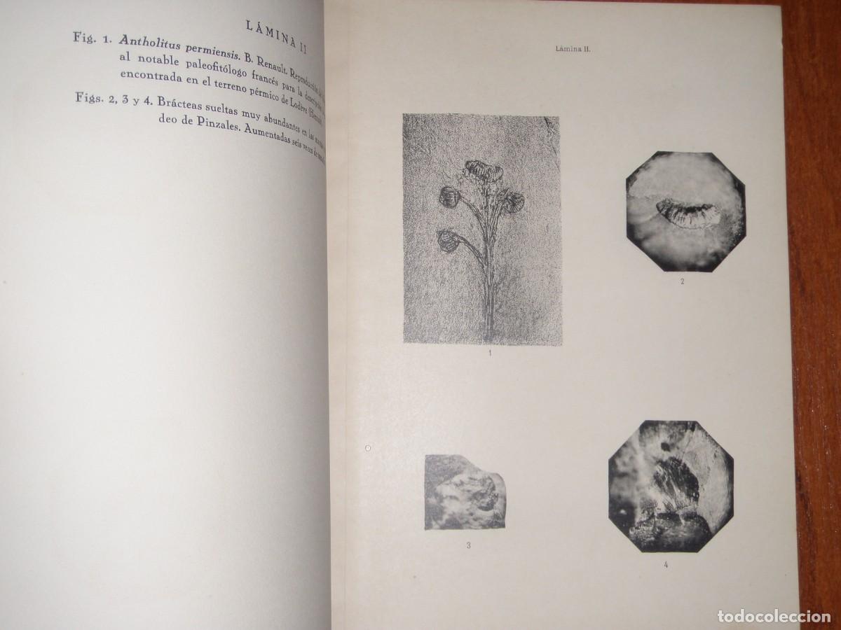 Libros de segunda mano: &iquest;GIJ&Oacute;N CUENCA POT&Aacute;SICA? - Foto 4