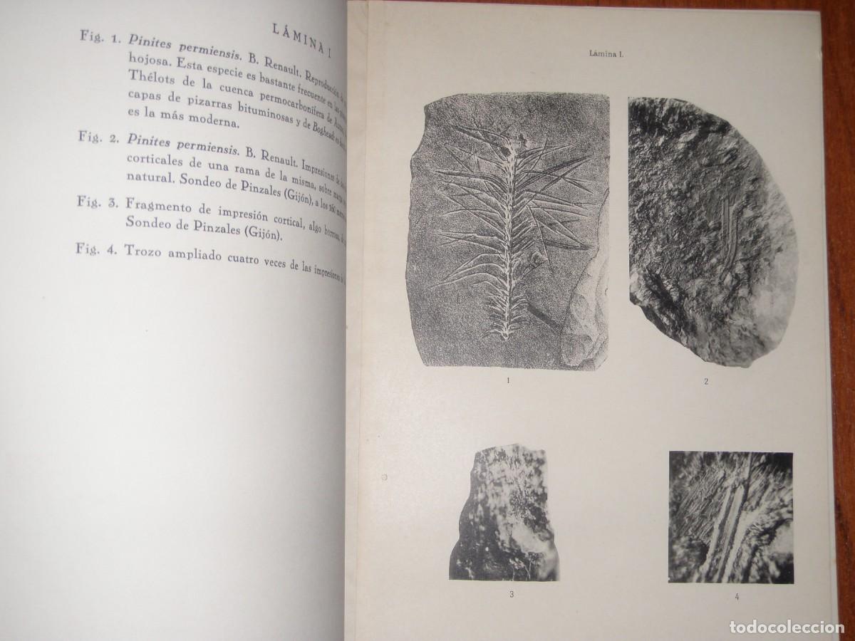 Libros de segunda mano: &iquest;GIJ&Oacute;N CUENCA POT&Aacute;SICA? - Foto 5