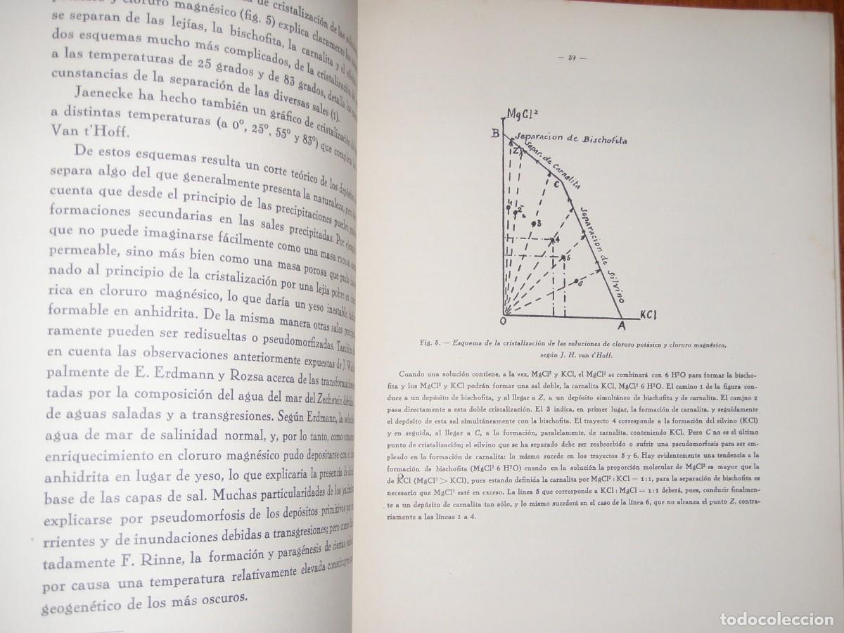 Libros de segunda mano: &iquest;GIJ&Oacute;N CUENCA POT&Aacute;SICA? - Foto 8