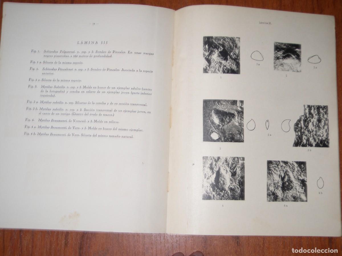 Libros de segunda mano: &iquest;GIJ&Oacute;N CUENCA POT&Aacute;SICA? - Foto 11