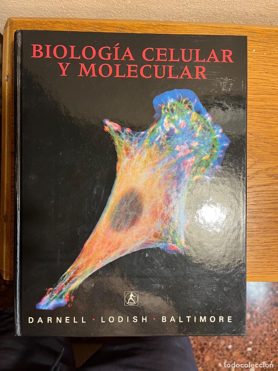 Libros de segunda mano: Biolog&iacute;a Celular y Molecular - Foto 1