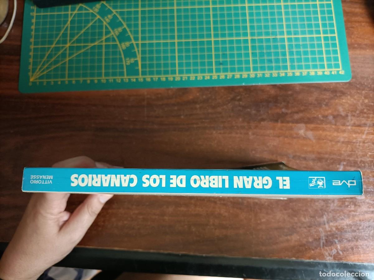Libros de segunda mano: EL GRAN LIBRO DE LOS CANARIOS. MENASS&Eacute;, VITTORIO. - ED. DE VECCHI, 1988 - Foto 2