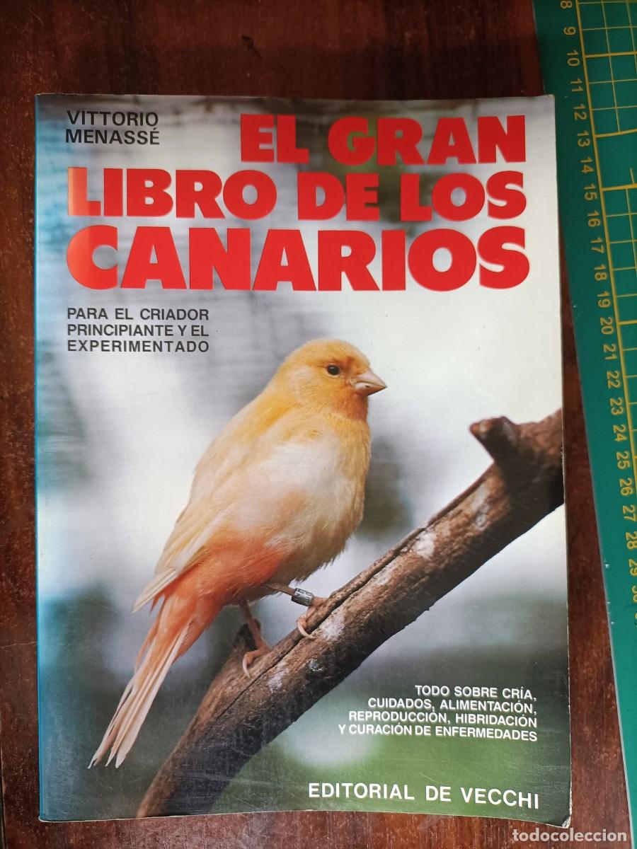 Libros de segunda mano: EL GRAN LIBRO DE LOS CANARIOS. MENASS&Eacute;, VITTORIO. - ED. DE VECCHI, 1988 - Foto 1