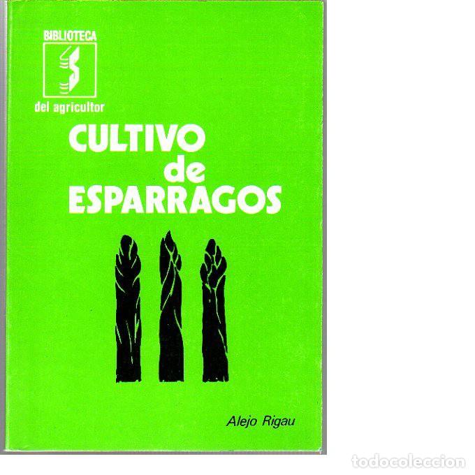 Libros de segunda mano: Cultivo de esparragos. (Alejo Rigau). - Foto 1