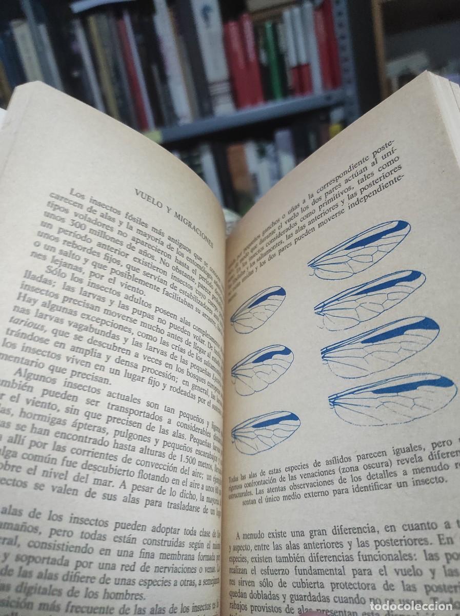 Libros de segunda mano: EL MUNDO DE LOS INSECTOS - L. HUGH NEWMAN - Foto 2