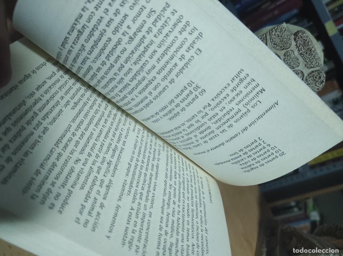 Libros de segunda mano: Canarios - W. Crawford - Foto 2