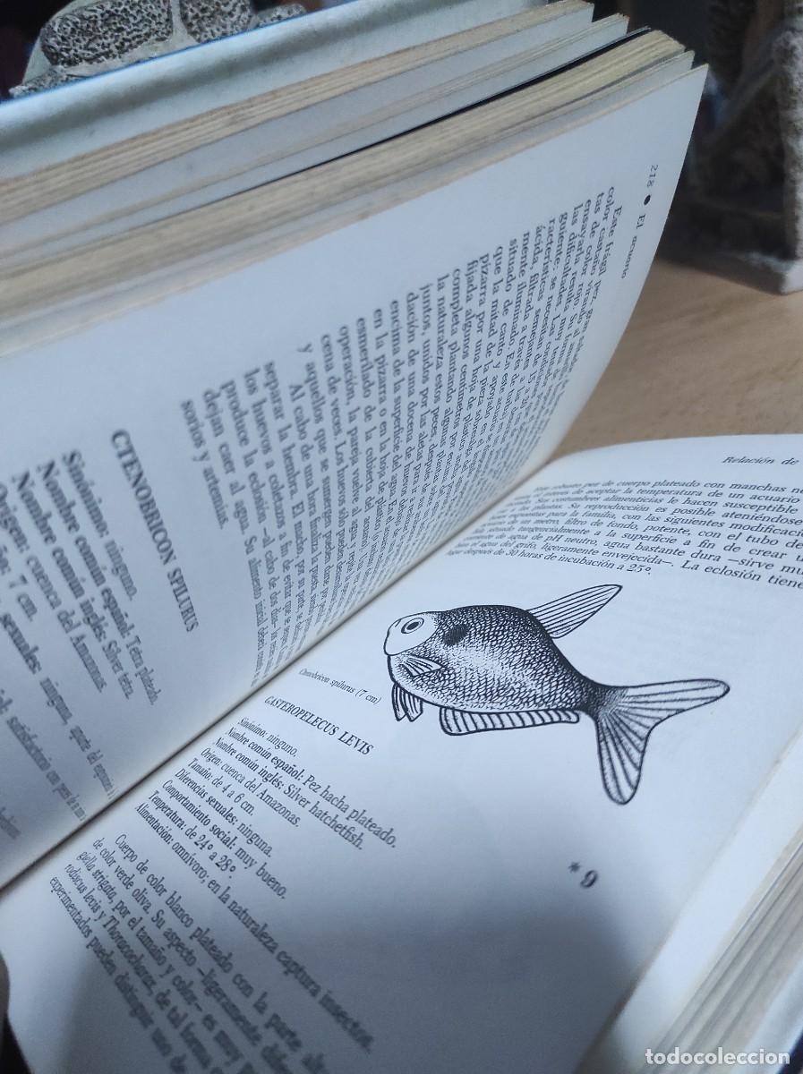 Libros de segunda mano: El acuario. Editorial DAIMON - Foto 2