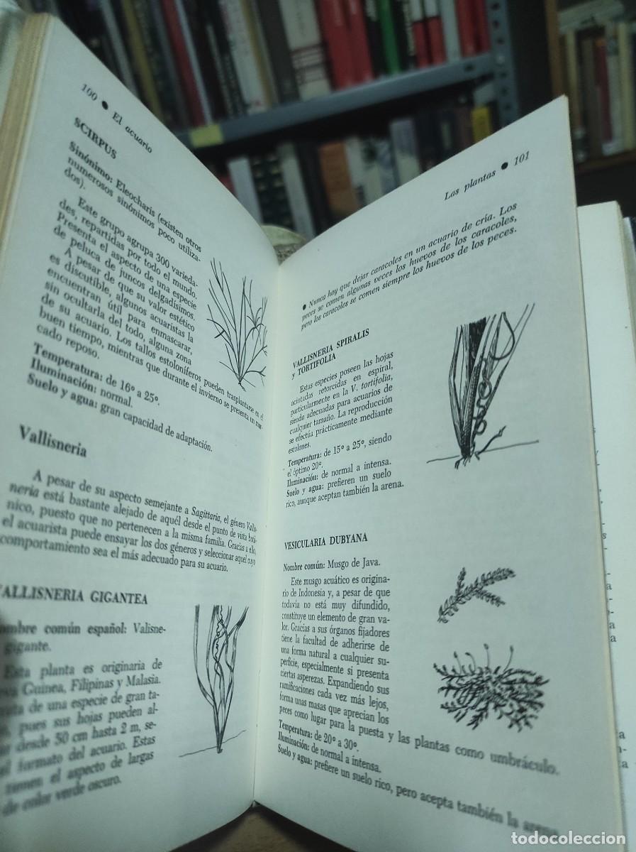 Libros de segunda mano: El acuario. Editorial DAIMON - Foto 3