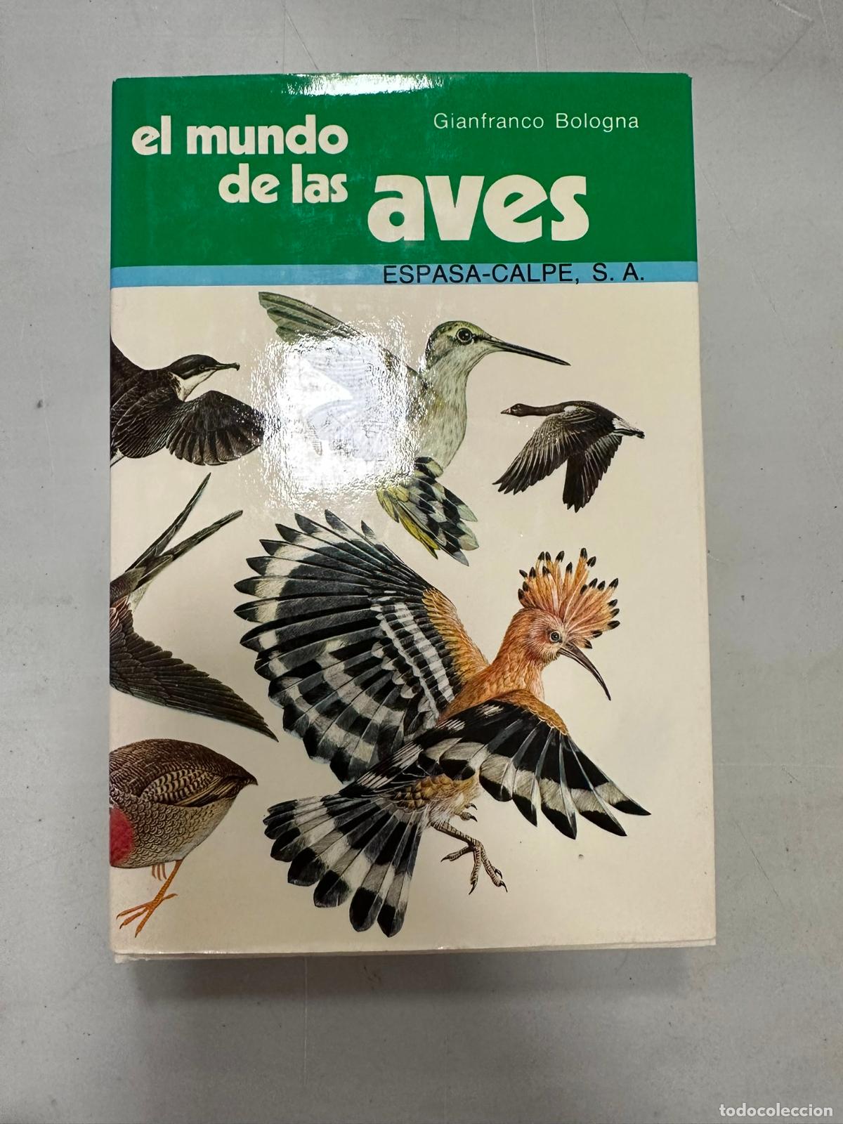 Libros de segunda mano: El mundo de las aves.- Bologna, Gianfranco - Foto 1