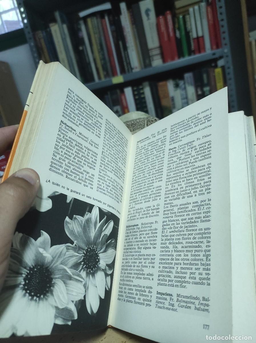 Libros de segunda mano: ABC de las plantas de jard&iacute;n. Magda R&oacute;denas - Foto 2