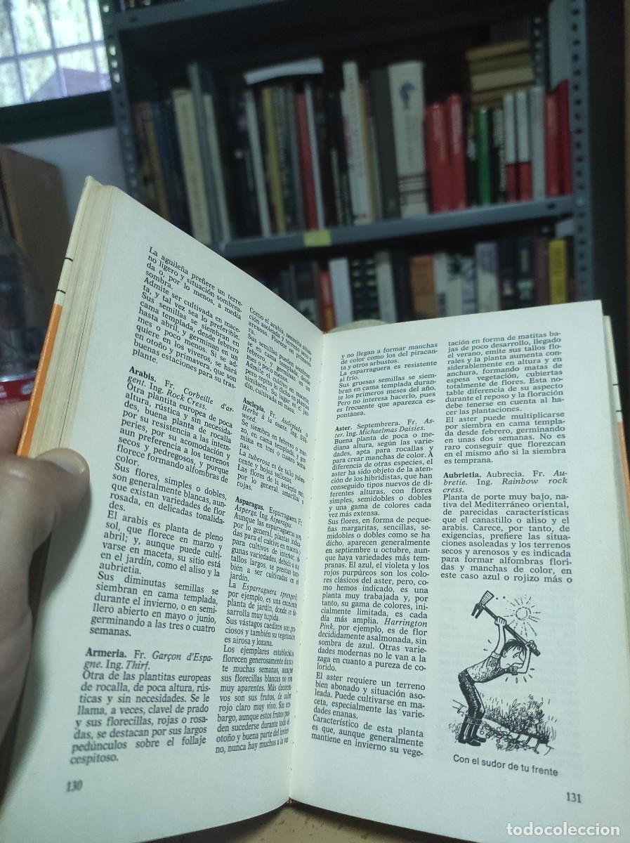 Libros de segunda mano: ABC de las plantas de jard&iacute;n. Magda R&oacute;denas - Foto 3