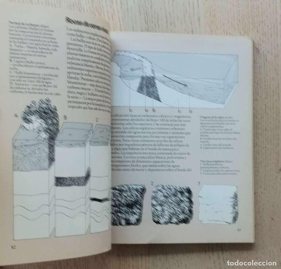 Libros de segunda mano: Gu&iacute;a de Cambridge de la TIERRA - LAMBERT, David - Foto 2