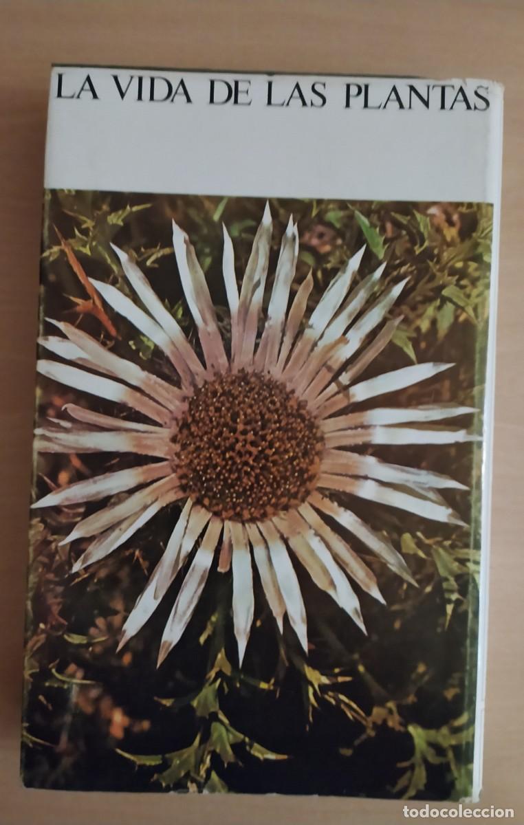 Libros de segunda mano: La vida de las plantas - E. J. H. Corner - Foto 2