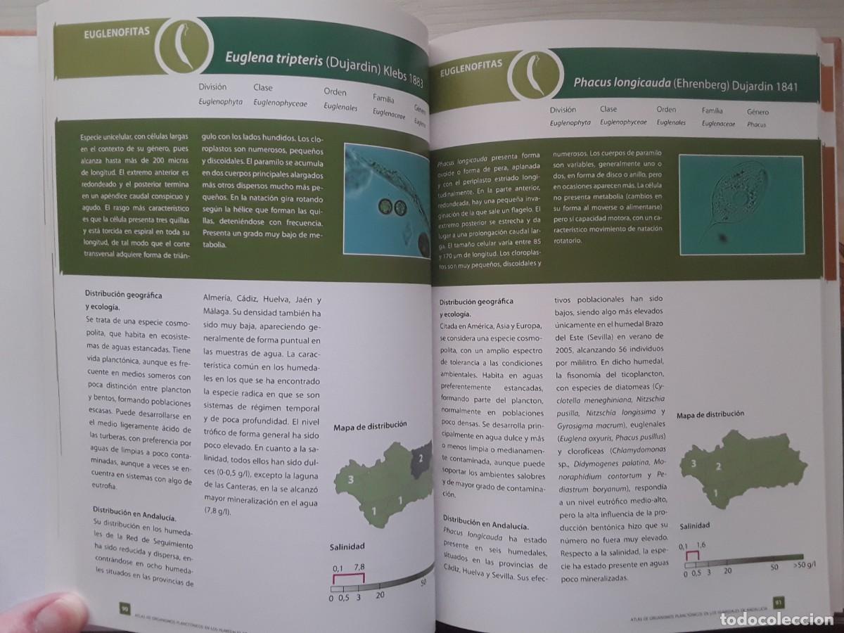 Foto adicional 2