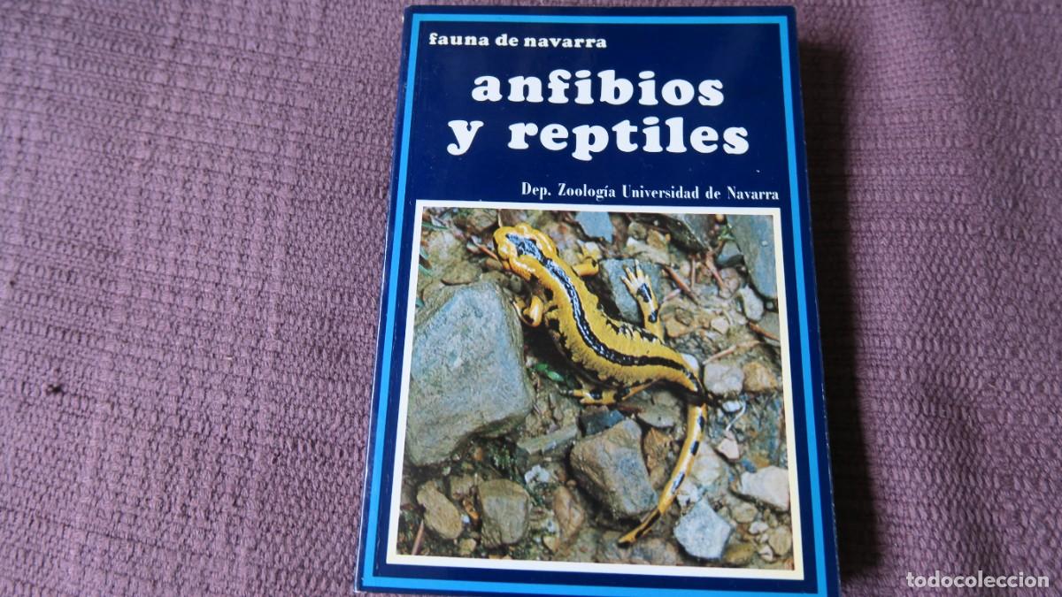 Livres d'occasion: ANFIBIOS Y REPTILES - FAUNA DE NAVARRA